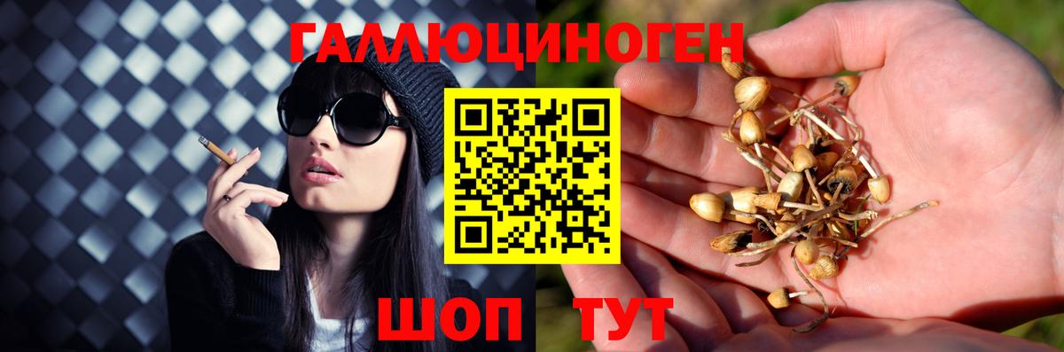Обнинск  Галлюциногенные грибы MAGIC MUSHROOMS  Вход с VPN 